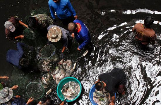 泰國當(dāng)局派人到商場底部捕魚（圖片來源網(wǎng)絡(luò)）