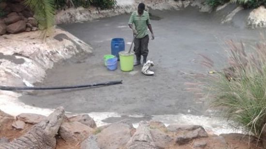 穆克的養(yǎng)殖場，鱷視眈眈下的工作人員。