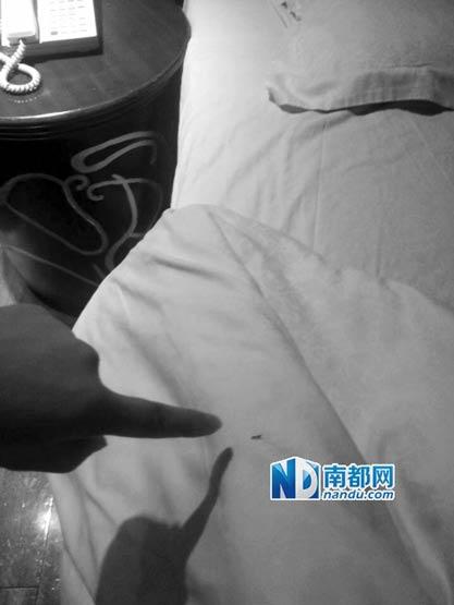 女子住四星酒店被蟲咬索賠遭拒 酒店:蟲子沒毒 女子住四星酒店被蟲咬索賠遭拒 酒店:蟲子沒毒