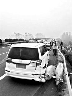 楚天都市報(bào)訊 楚天都市報(bào)訊