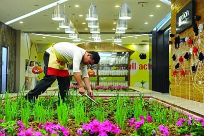 南京一餐廳旁建小型 南京一餐廳旁建小型