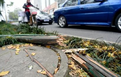 事發(fā)現(xiàn)場，嫌疑車輛撞壞的木樁。