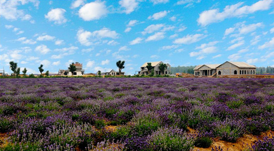 嵖岈山傾情打造中秋節(jié)休閑度假全體驗 嵖岈山傾情打造中秋節(jié)休閑度假全體驗