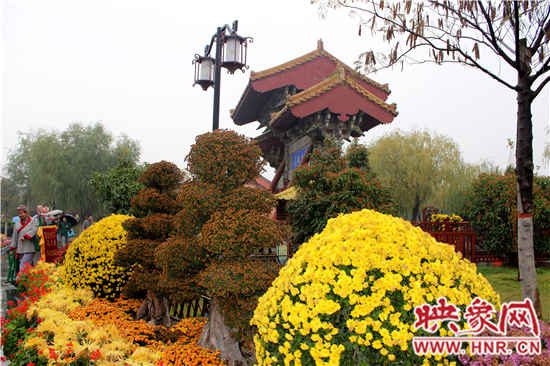 天好、花美 中國開封第32屆菊花文化節(jié)延長一周