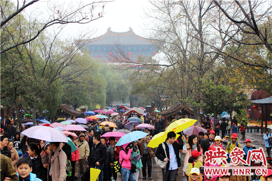 天好、花美 中國開封第32屆菊花文化節(jié)延長一周