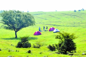 洛陽黛眉山景區(qū)開園迎賓，明年五一前免費開放