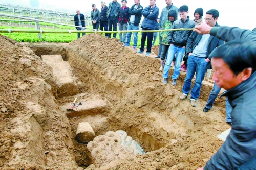 碑帽、赑屃、碑座、碑身依次排開