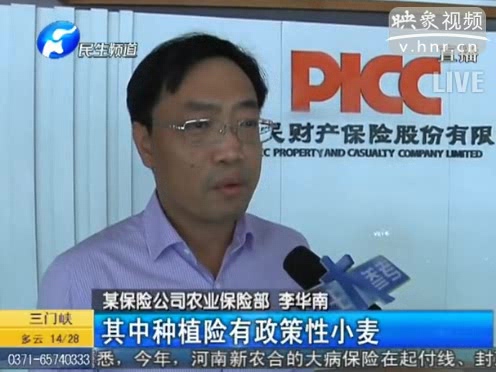 冰雹惹禍 損失能索賠嗎？