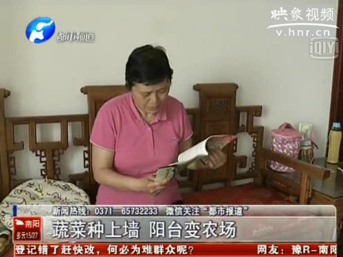 蔬菜種上墻 陽臺(tái)變農(nóng)場