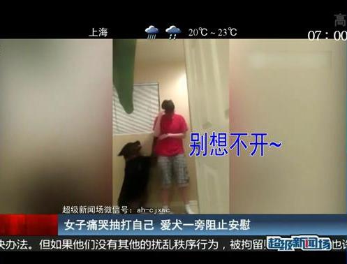女子痛哭抽打自己 愛(ài)犬一旁阻止安慰