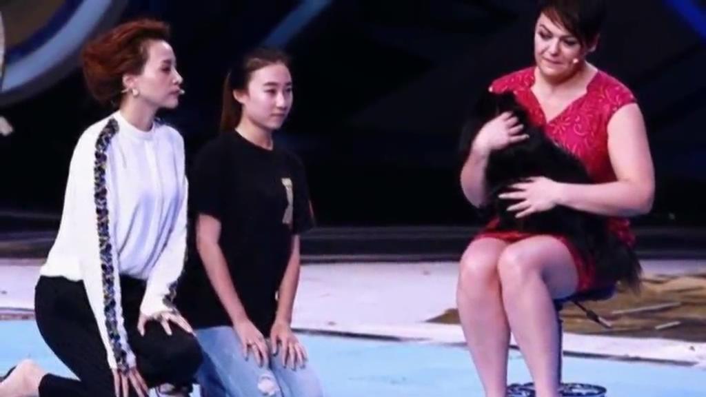 又當(dāng)托？ 董卿節(jié)目現(xiàn)場當(dāng)眾對狗下跪稱被催眠