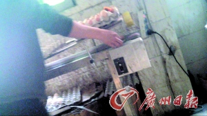 工作人員正在為“土雞蛋”噴日期碼。