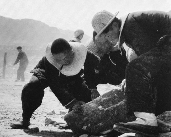 抬石頭，多少人手上都磨出了老繭